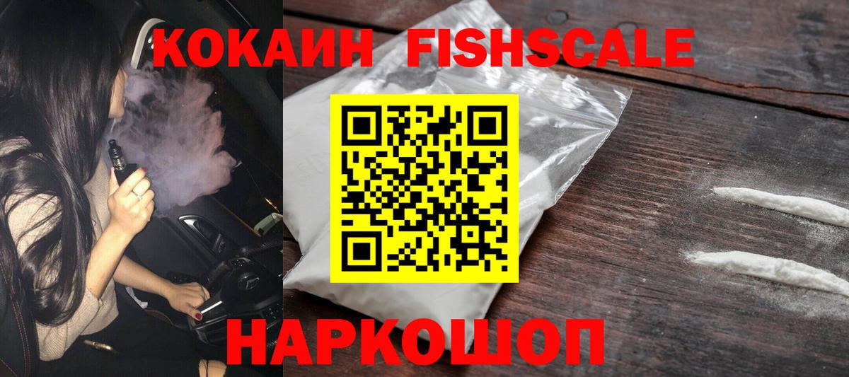 COCAIN Fish Scale  Вход с VPN  Сыктывкар 