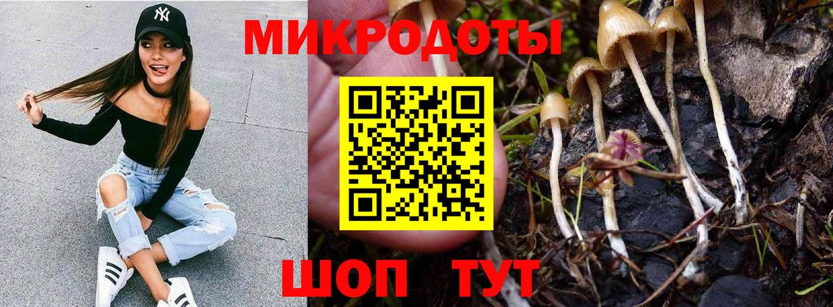 Псилоцибиновые грибы Psilocybine cubensis  Псилоцибиновые грибы прущие грибы  цены   Сыктывкар  Вход с VPN 