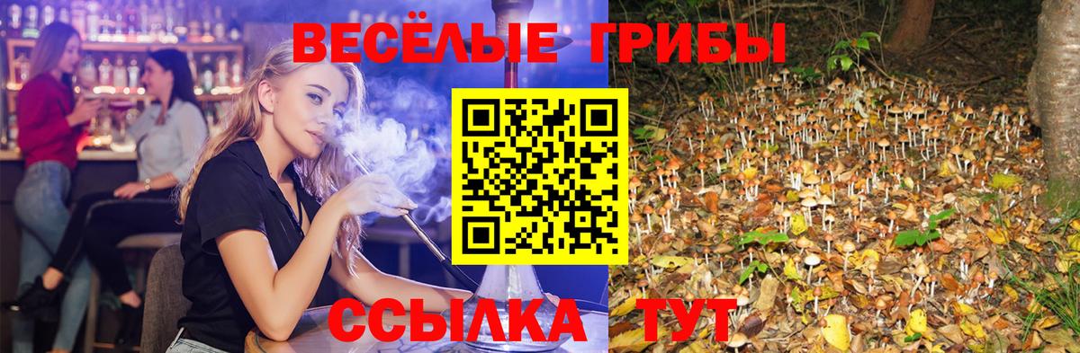 Галлюциногенные грибы Psilocybine cubensis Сыктывкар